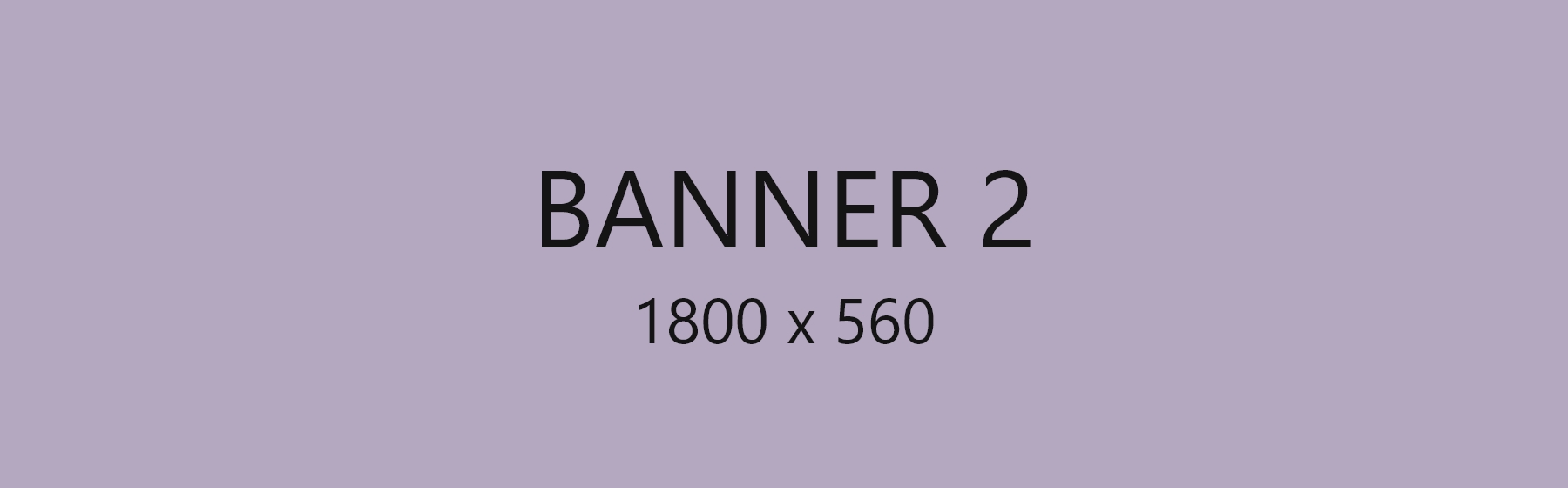 Banner 2