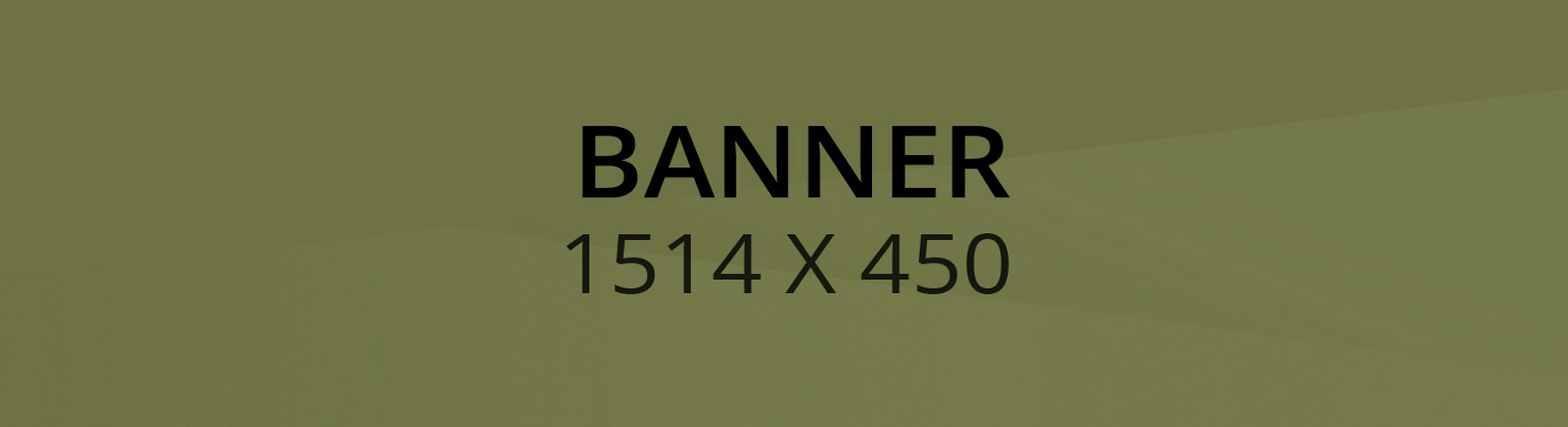 Banner 1
